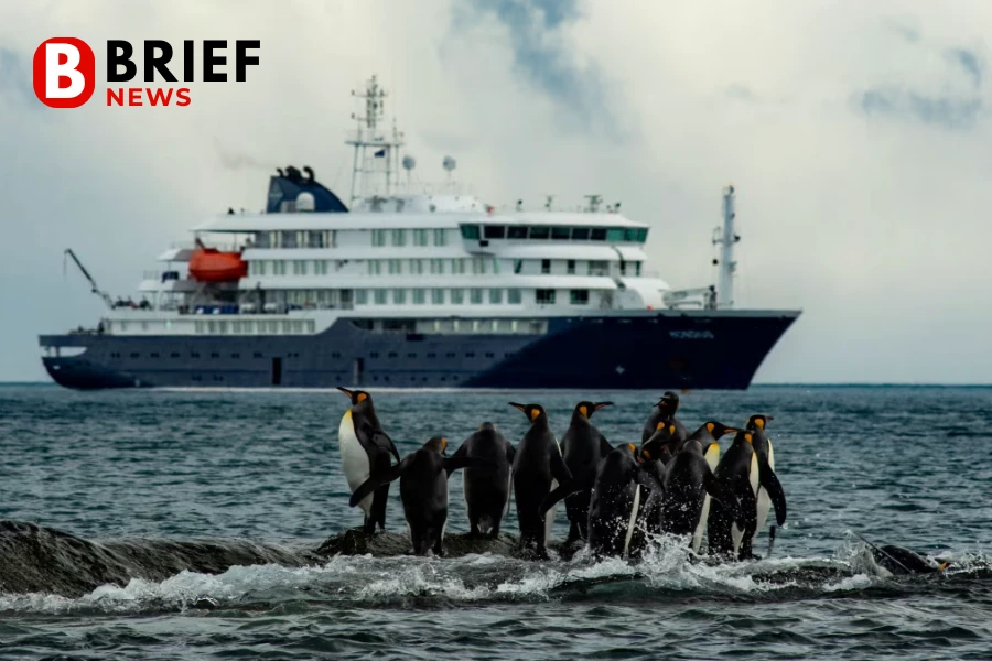 Що сталося на лайнері MV Hondius