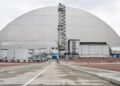 У руїнах четвертого реактора ЧАЕС знайшли гриб, який може «живитися» радіацією