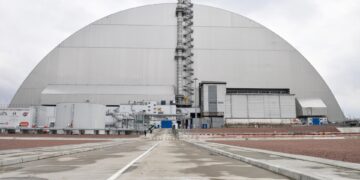 У руїнах четвертого реактора ЧАЕС знайшли гриб, який може «живитися» радіацією